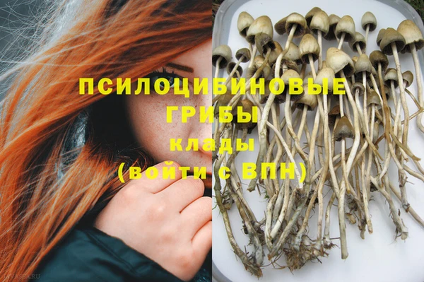 MDMA Premium VHQ Алексеевка