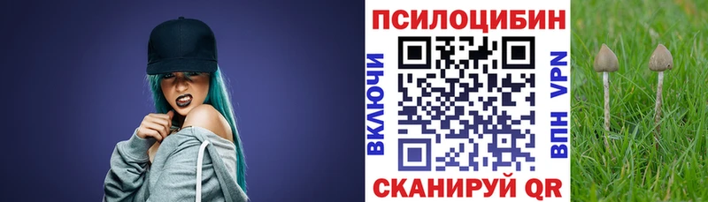 Псилоцибиновые грибы мицелий  Пугачёв 